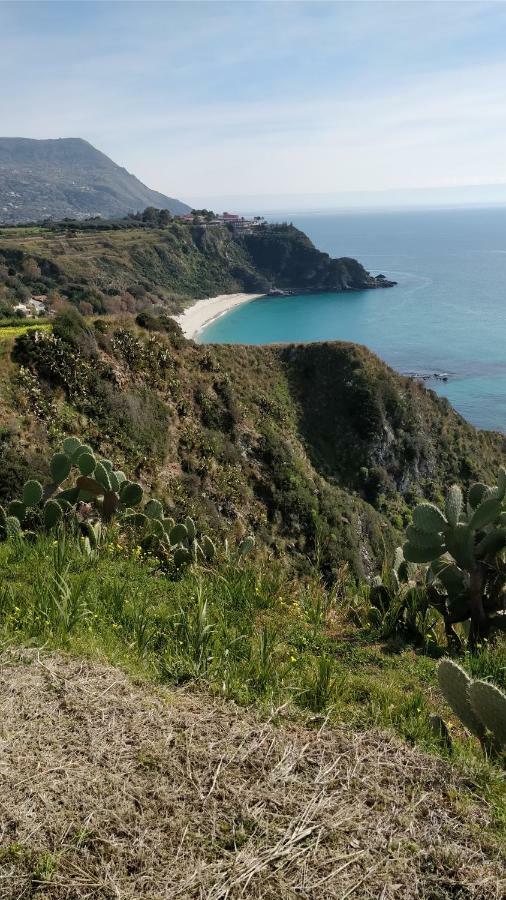 Dal Barone Agostino Lägenhet Capo Vaticano Exteriör bild